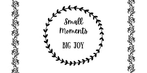 Small Moments Big Joy